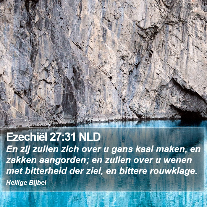 Ezechiël 27:31 NLD Bible Study