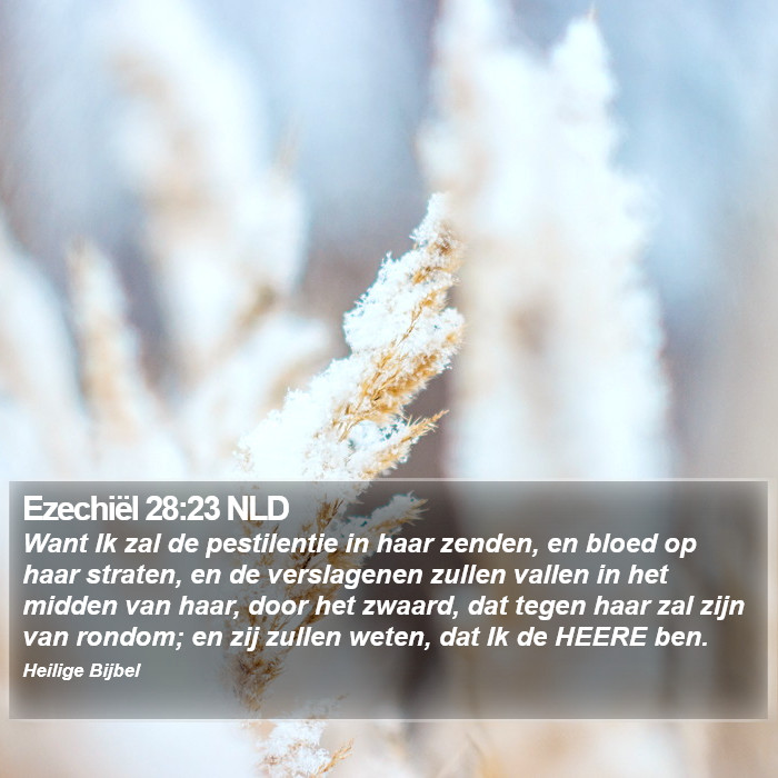 Ezechiël 28:23 NLD Bible Study