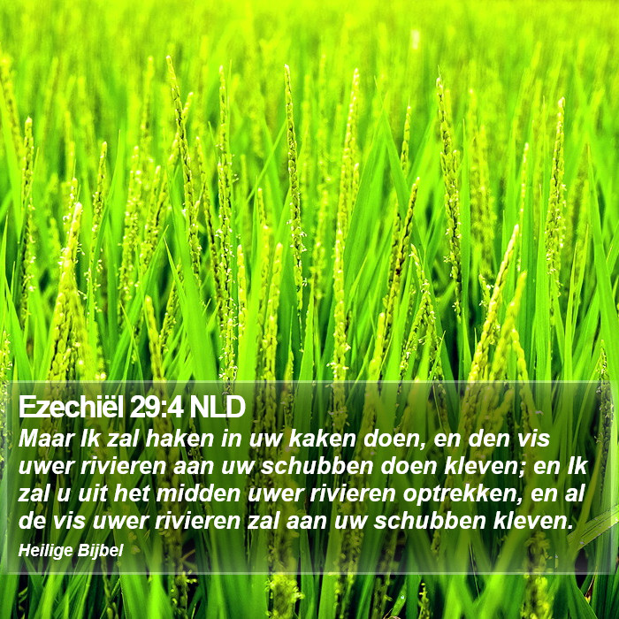 Ezechiël 29:4 NLD Bible Study