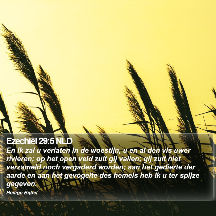Ezechiël 29:5 NLD Bible Study