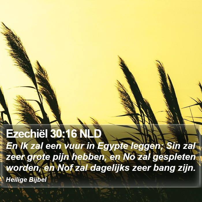 Ezechiël 30:16 NLD Bible Study