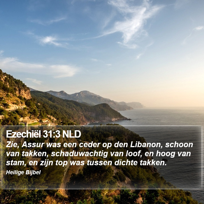 Ezechiël 31:3 NLD Bible Study