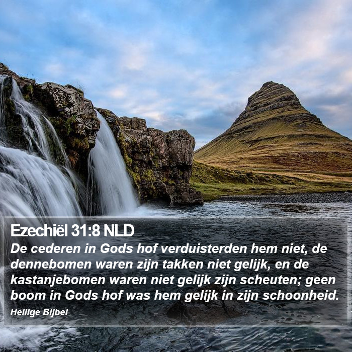 Ezechiël 31:8 NLD Bible Study