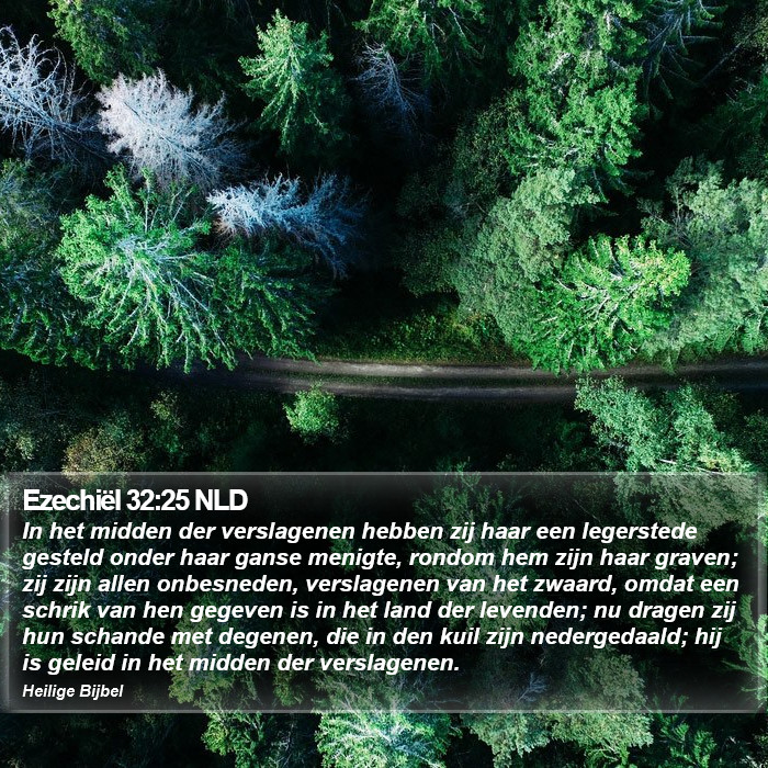 Ezechiël 32:25 NLD Bible Study