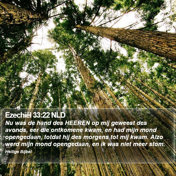 Ezechiël 33:22 NLD Bible Study