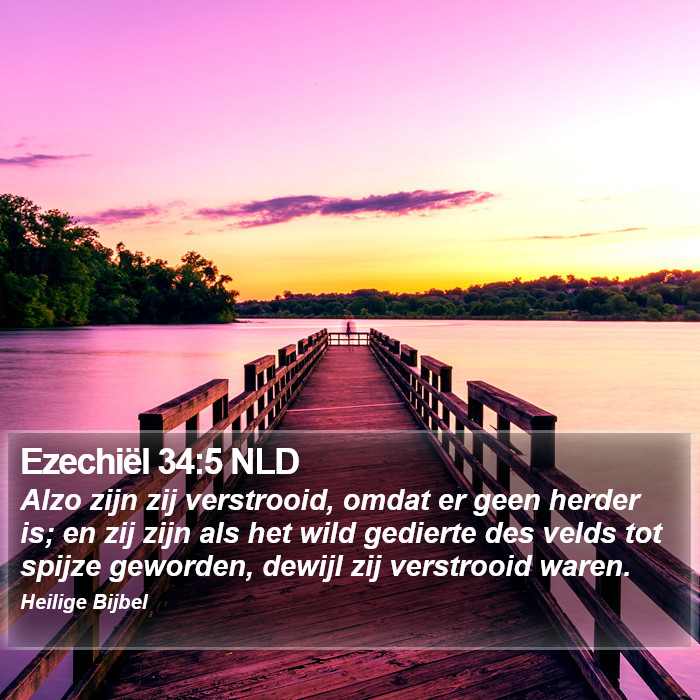 Ezechiël 34:5 NLD Bible Study