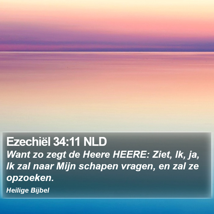 Ezechiël 34:11 NLD Bible Study