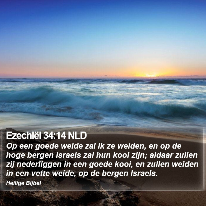 Ezechiël 34:14 NLD Bible Study