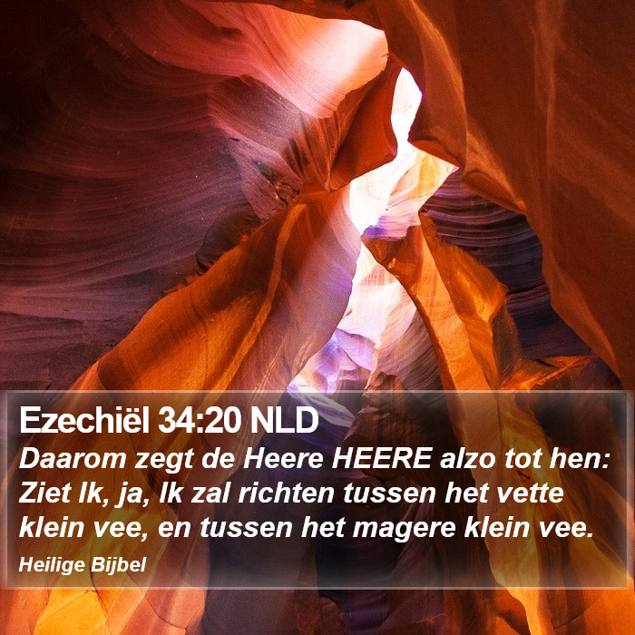 Ezechiël 34:20 NLD Bible Study