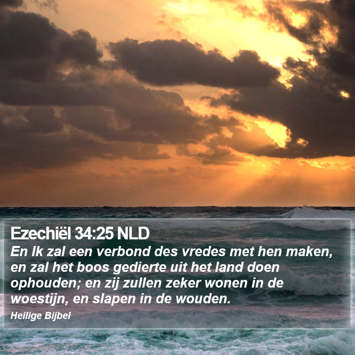 Ezechiël 34:25 NLD Bible Study