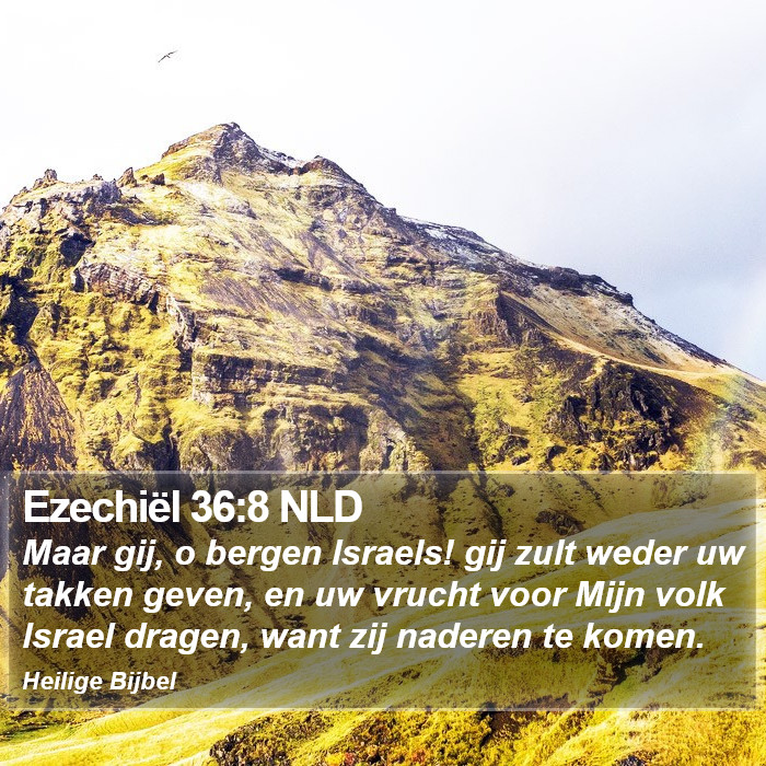 Ezechiël 36:8 NLD Bible Study