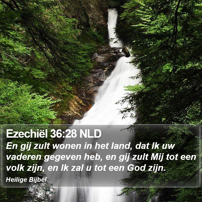Ezechiël 36:28 NLD Bible Study