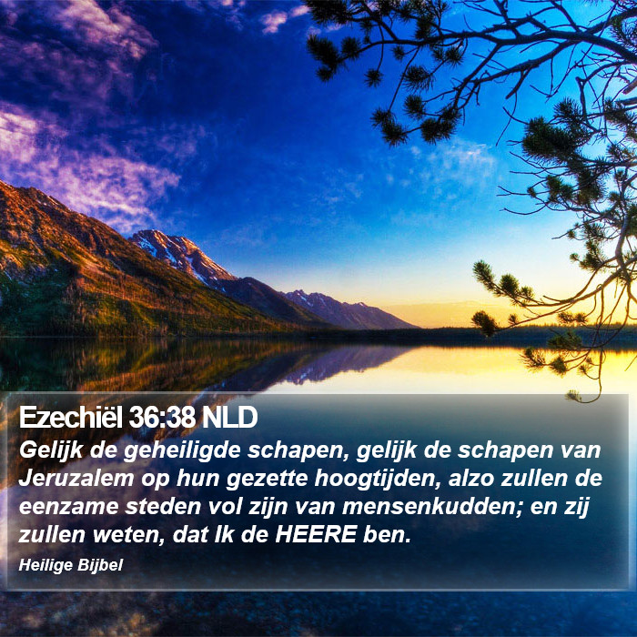 Ezechiël 36:38 NLD Bible Study