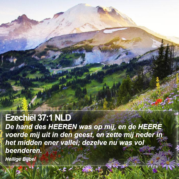 Ezechiël 37:1 NLD Bible Study