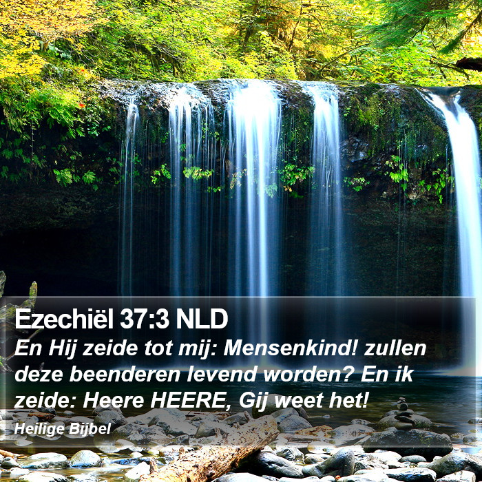 Ezechiël 37:3 NLD Bible Study