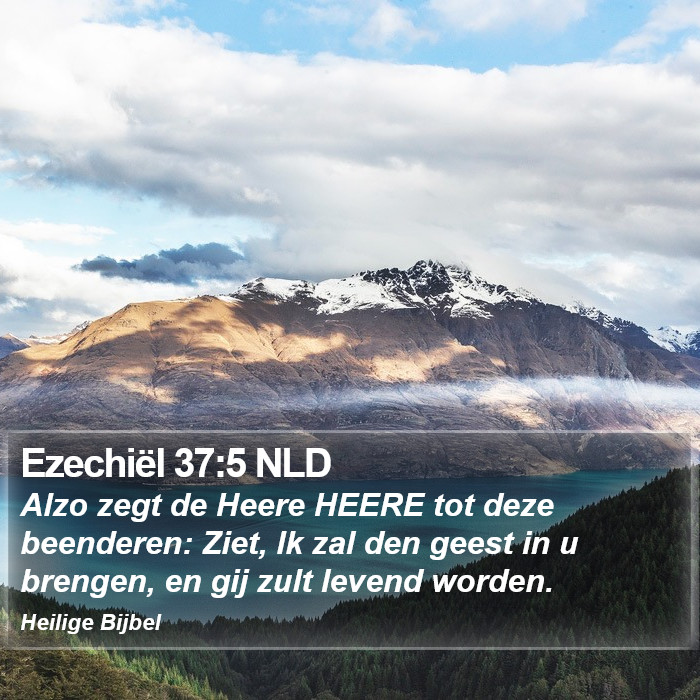 Ezechiël 37:5 NLD Bible Study