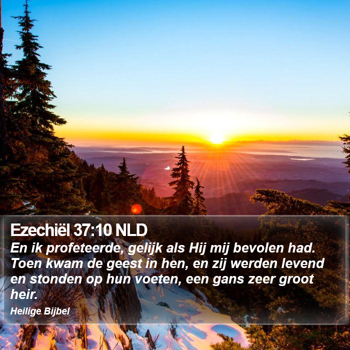 Ezechiël 37:10 NLD Bible Study