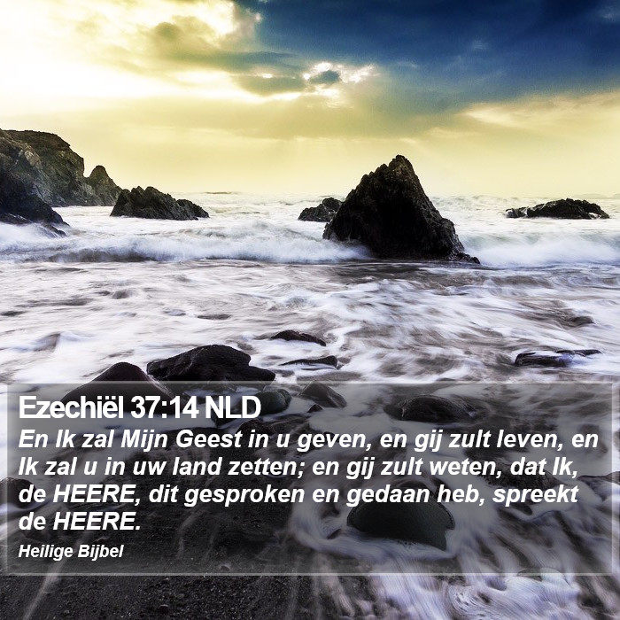 Ezechiël 37:14 NLD Bible Study