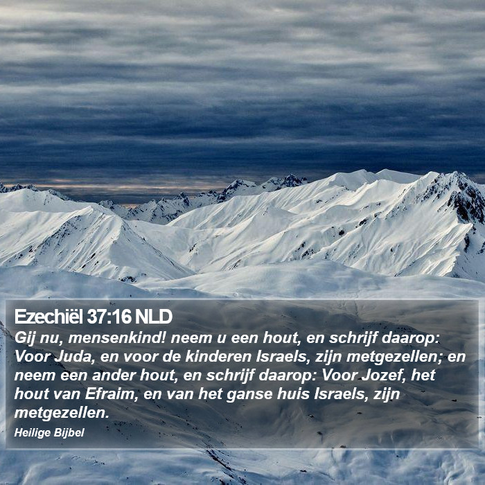 Ezechiël 37:16 NLD Bible Study