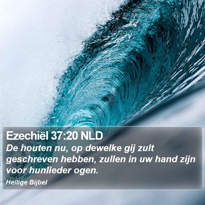 Ezechiël 37:20 NLD Bible Study