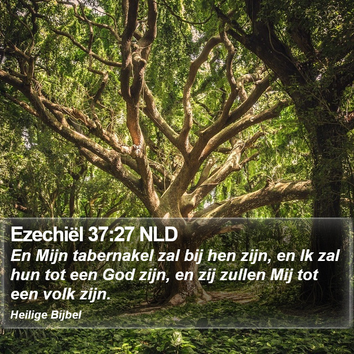 Ezechiël 37:27 NLD Bible Study