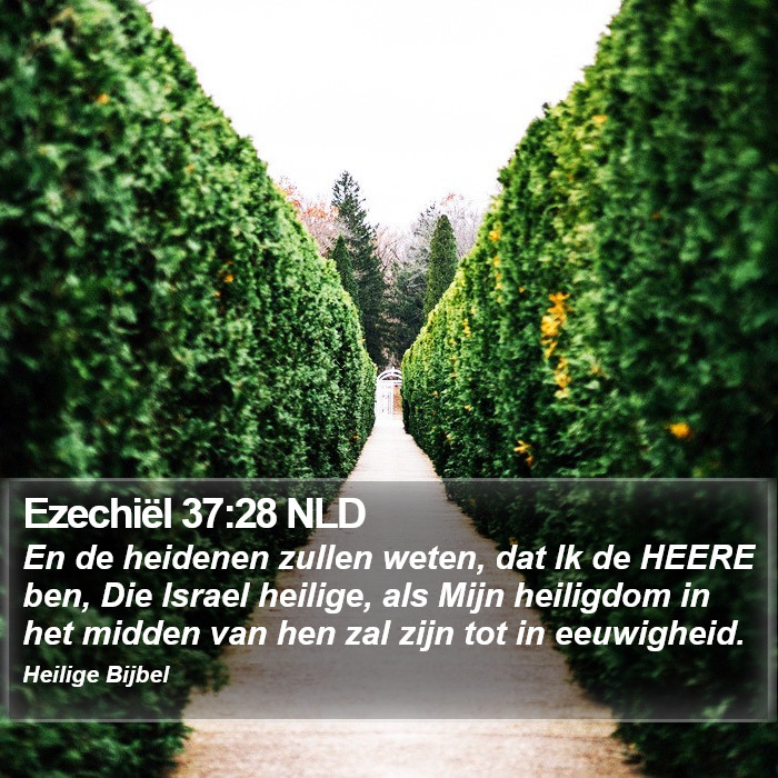 Ezechiël 37:28 NLD Bible Study