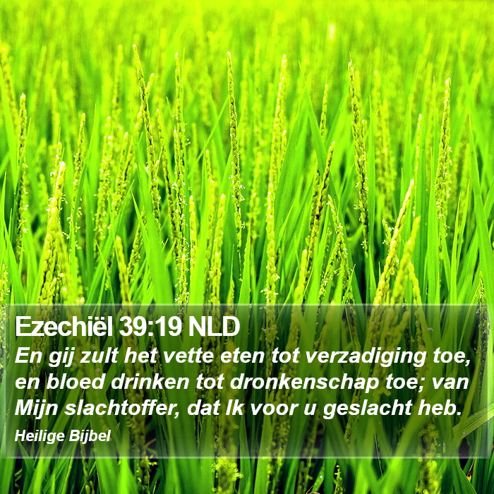 Ezechiël 39:19 NLD Bible Study