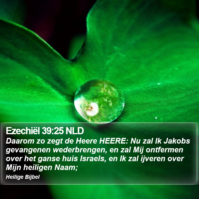 Ezechiël 39:25 NLD Bible Study