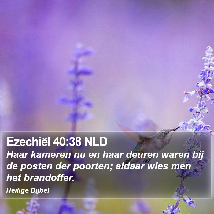 Ezechiël 40:38 NLD Bible Study