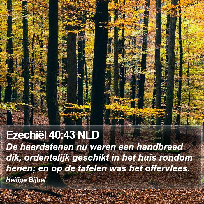 Ezechiël 40:43 NLD Bible Study