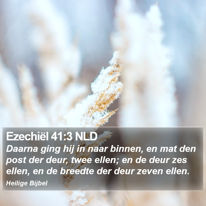 Ezechiël 41:3 NLD Bible Study