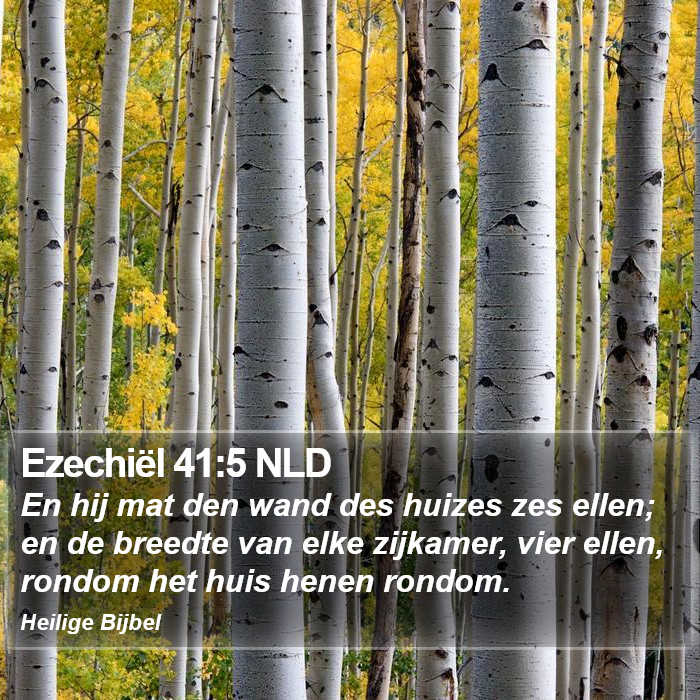 Ezechiël 41:5 NLD Bible Study