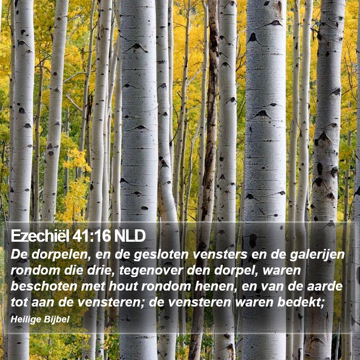 Ezechiël 41:16 NLD Bible Study