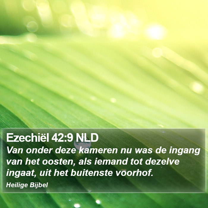 Ezechiël 42:9 NLD Bible Study