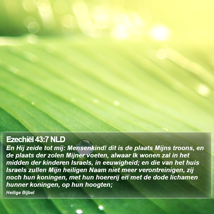 Ezechiël 43:7 NLD Bible Study