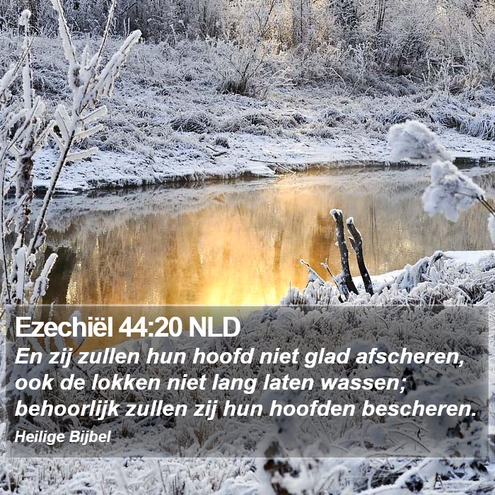 Ezechiël 44:20 NLD Bible Study