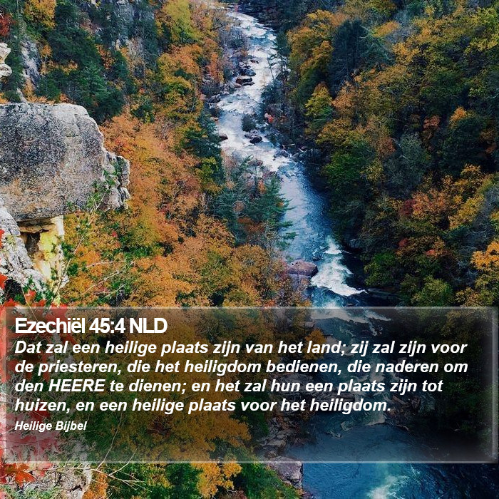 Ezechiël 45:4 NLD Bible Study