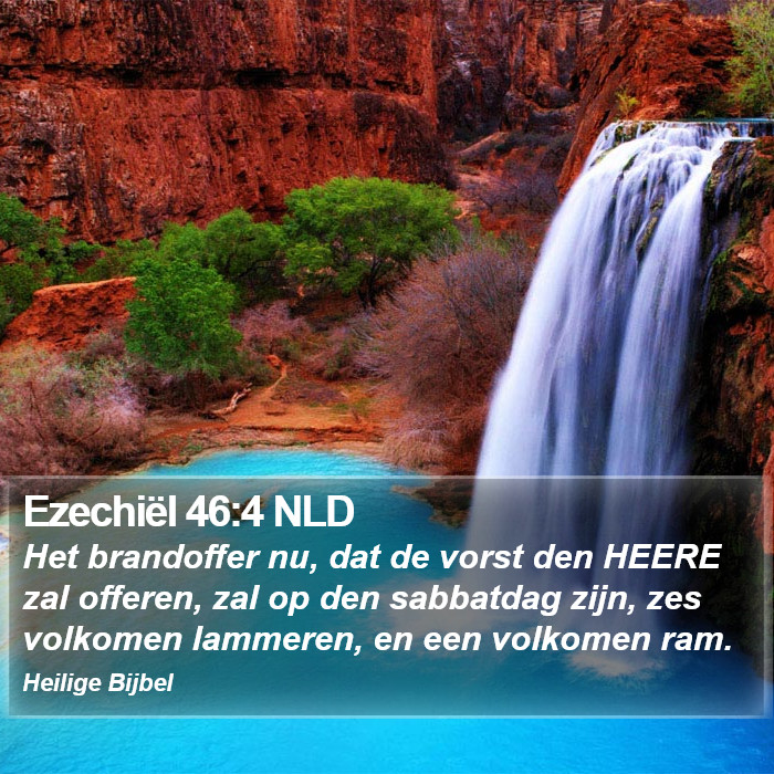 Ezechiël 46:4 NLD Bible Study