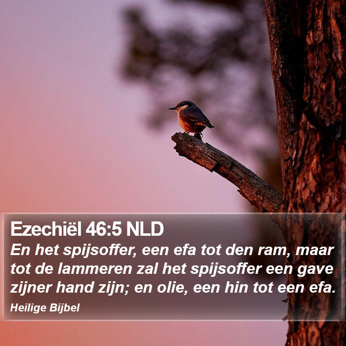 Ezechiël 46:5 NLD Bible Study