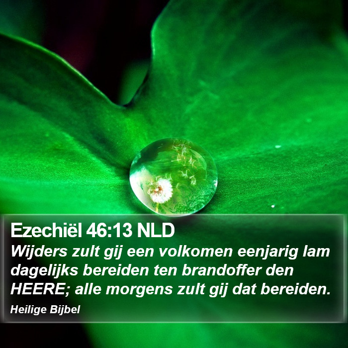 Ezechiël 46:13 NLD Bible Study