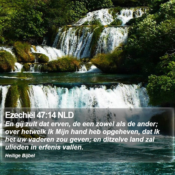 Ezechiël 47:14 NLD Bible Study