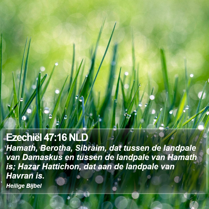 Ezechiël 47:16 NLD Bible Study