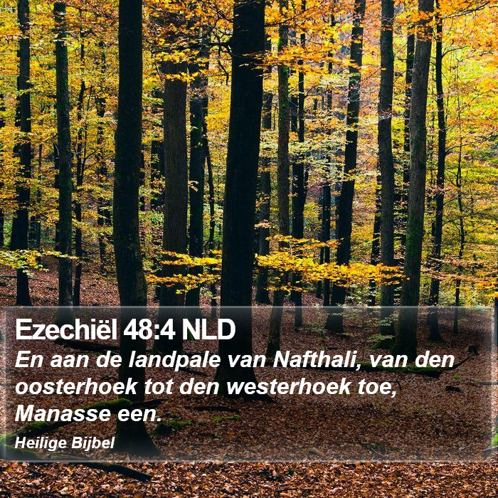 Ezechiël 48:4 NLD Bible Study
