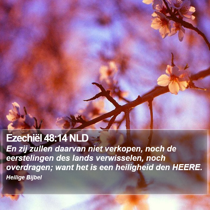 Ezechiël 48:14 NLD Bible Study