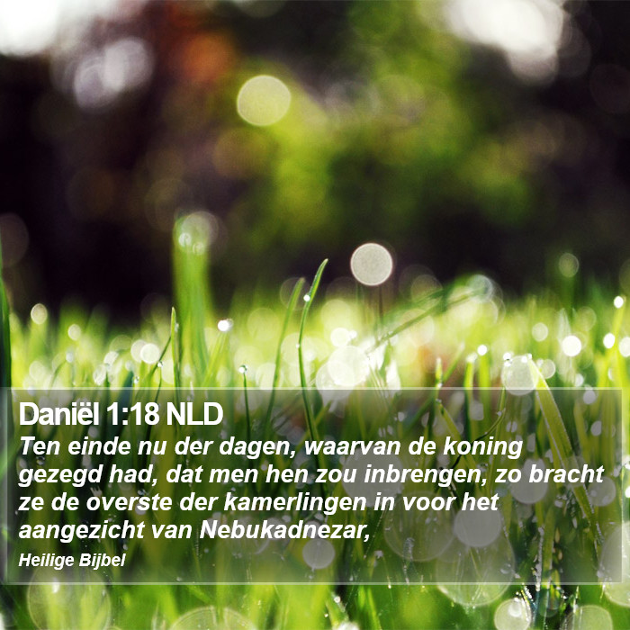 Daniël 1:18 NLD Bible Study