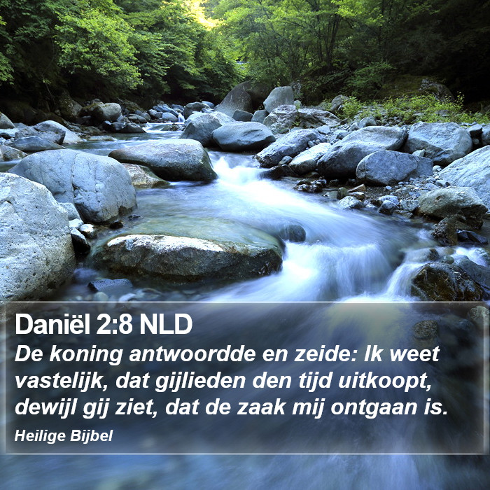 Daniël 2:8 NLD Bible Study