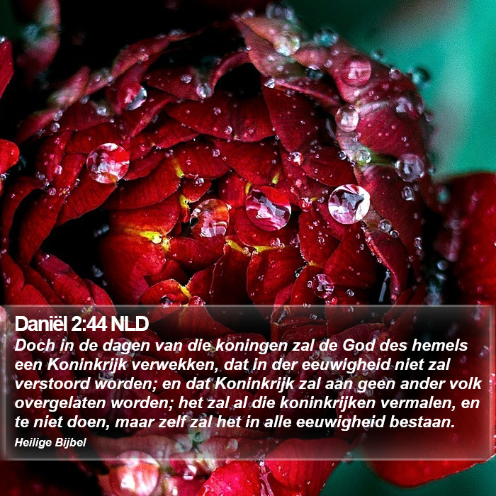 Daniël 2:44 NLD Bible Study