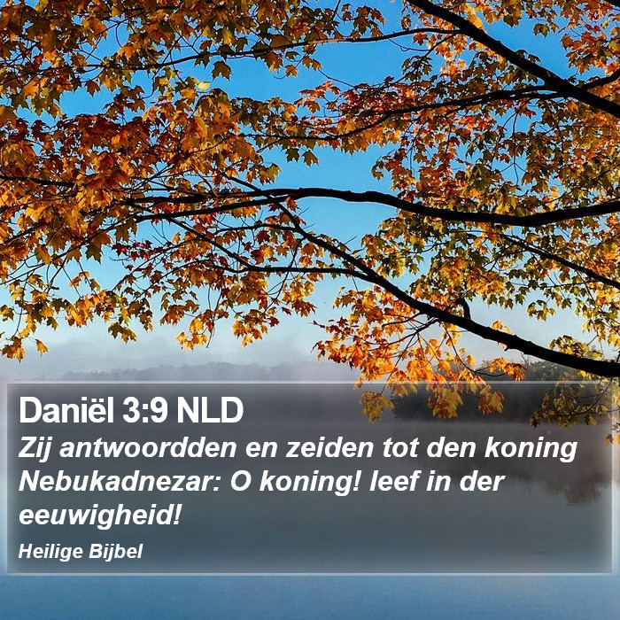 Daniël 3:9 NLD Bible Study