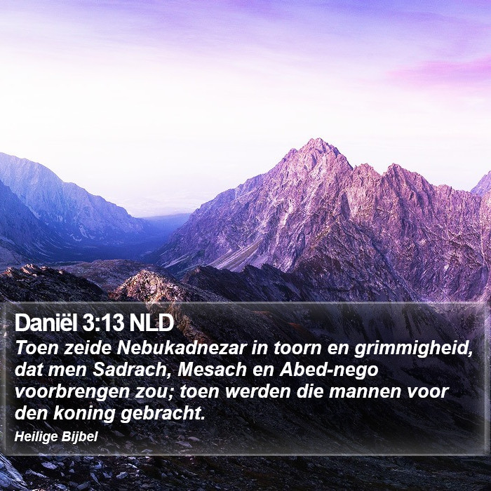 Daniël 3:13 NLD Bible Study
