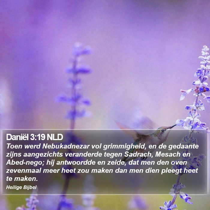 Daniël 3:19 NLD Bible Study